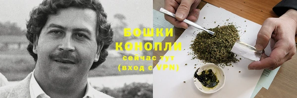 трава Медвежьегорск