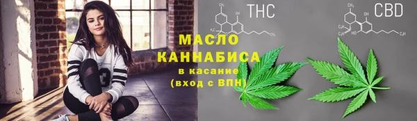 сатива Магадан