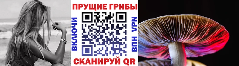 Галлюциногенные грибы Magic Shrooms  закладка  Подпорожье 